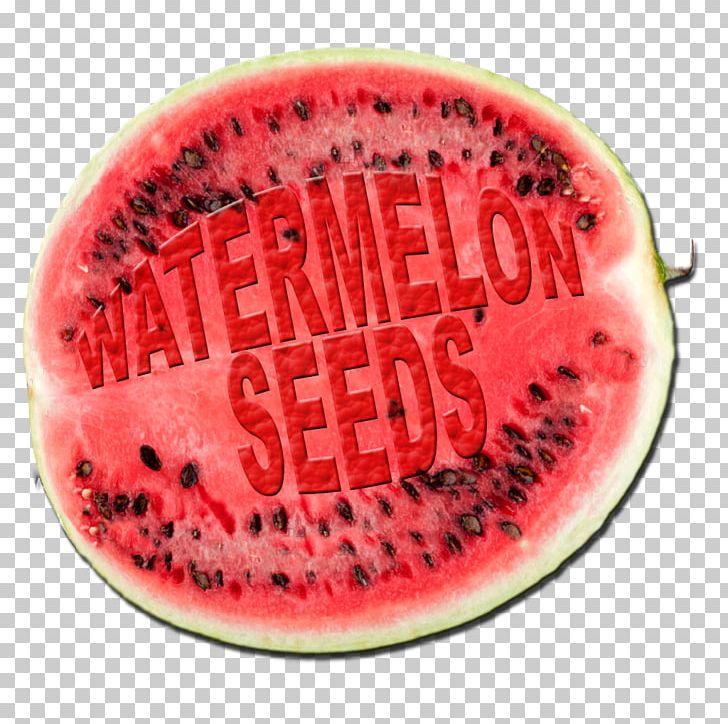 Watermelon Honeydew Cucumber Cucurbitaceae PNG, Clipart, Aggression, Citrullus, Cucumber, Cucumber Gourd And Melon Family, Cucurbitaceae Free PNG Download