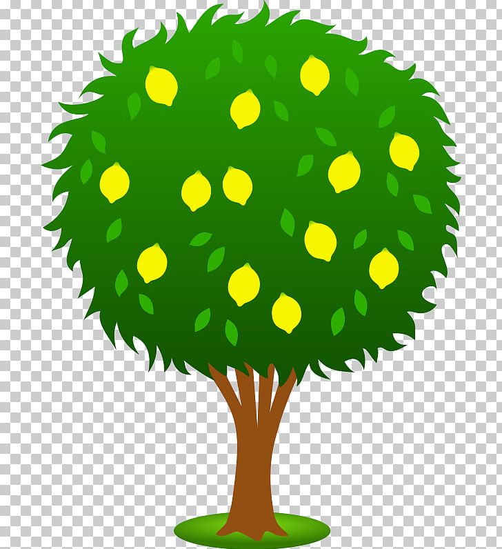 Lemon Fruit Tree PNG, Clipart, Artwork, Circle, Citrus, Drawing, Flower Free PNG Download