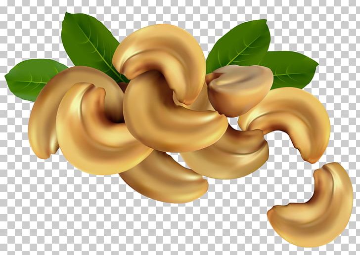 Nut Cashew Stock Photography PNG, Clipart, Cashew, Cashew Cliparts, Commodity, Depositphotos, Euclidean Vector Free PNG Download
