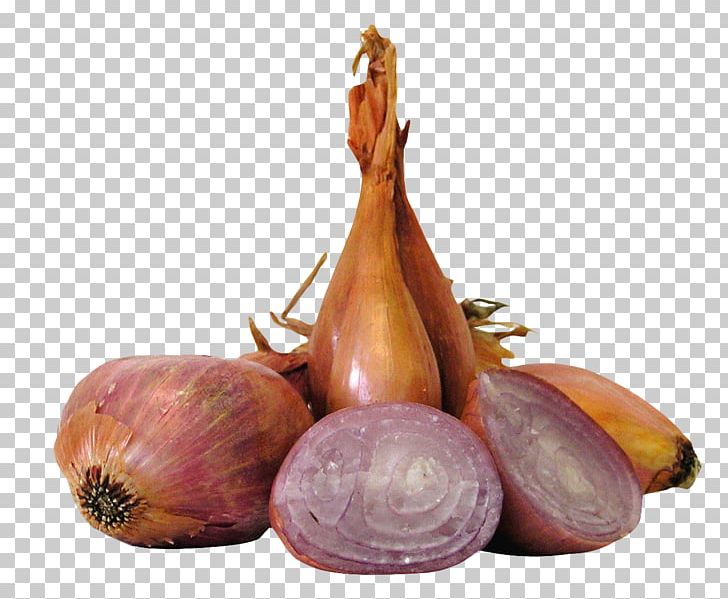 Shallot Vegetable Allium Fistulosum Yellow Onion PNG, Clipart, Allium Fistulosum, Broccoli, Farro, Flour, Food Free PNG Download