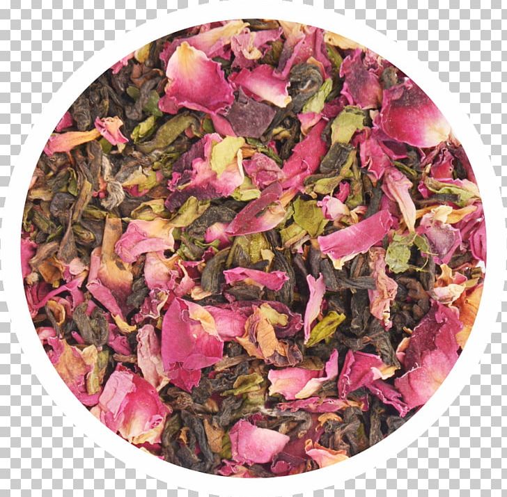 Assam Tea Masala Chai Oolong Darjeeling Tea PNG, Clipart, Assam Tea, Cup, Darjeeling Tea, Decaffeination, Flavor Free PNG Download