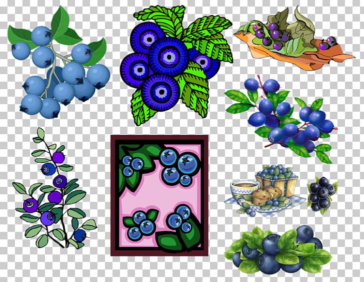 Bilberry Blueberry PNG, Clipart, Bilberry, Blue, Blueberry, Cartoon, Drawing Free PNG Download