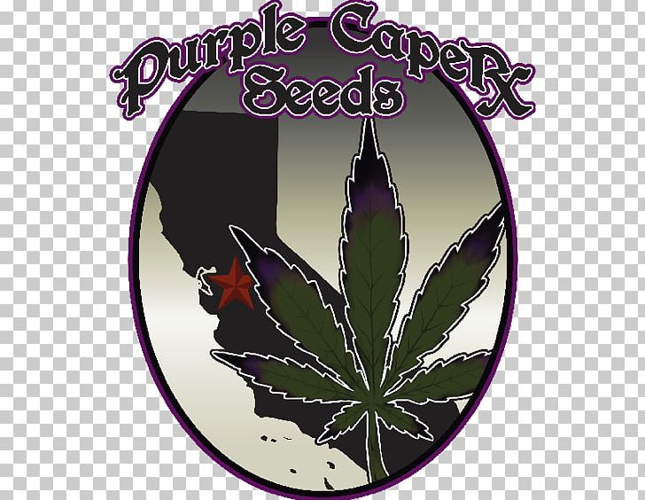 Seed Bank Autoflowering Cannabis White Widow Seed Company PNG, Clipart, Autoflowering Cannabis, Cannabis, Cannabis Sativa, Crop Yield, Germination Free PNG Download