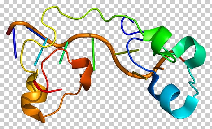 ZFP36L1 Protein Gene Zinc Finger PNG, Clipart, Area, Butyrate, Cell, Chromatin, Finger Free PNG Download