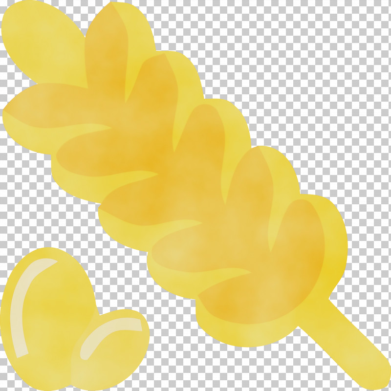Petal Flower Yellow PNG, Clipart, Flower, Paint, Petal, Pongal, Watercolor Free PNG Download