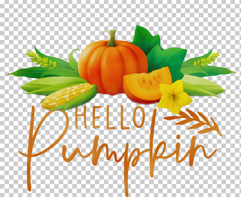 Pumpkin PNG, Clipart, Autumn, Cooking, Fruit, Ingredient, Paint Free PNG Download
