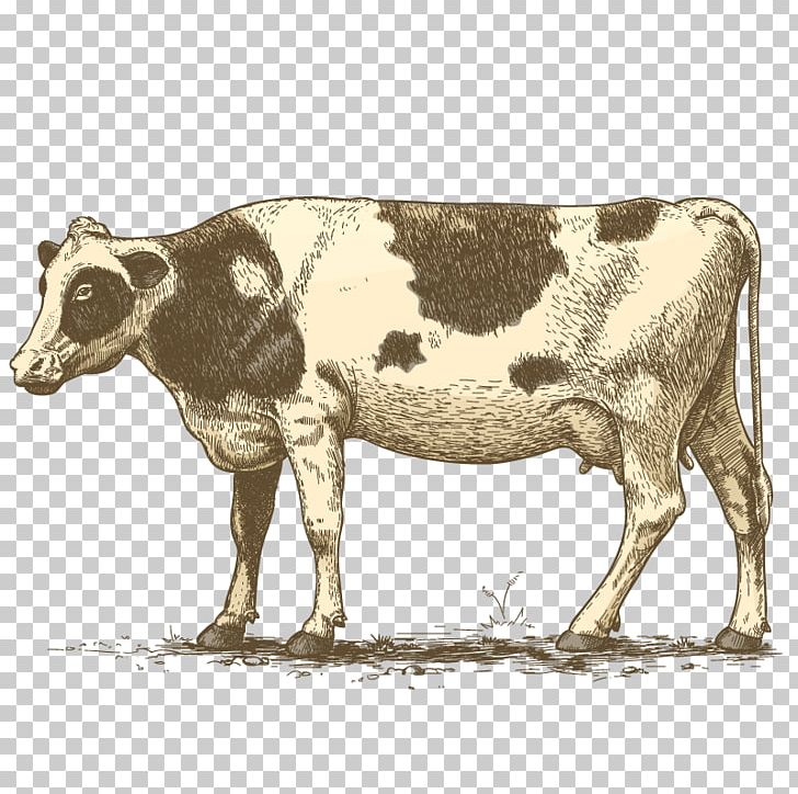 Cream PNG, Clipart, Bull, Cattle Like Mammal, Cow, Cow Goat Family, Cream Free PNG Download