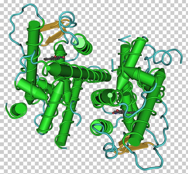 Estrogen Receptor Beta Estrogen Receptor Alpha PNG, Clipart, Animal Figure, Area, Artwork, Breast Cancer, Cancer Free PNG Download