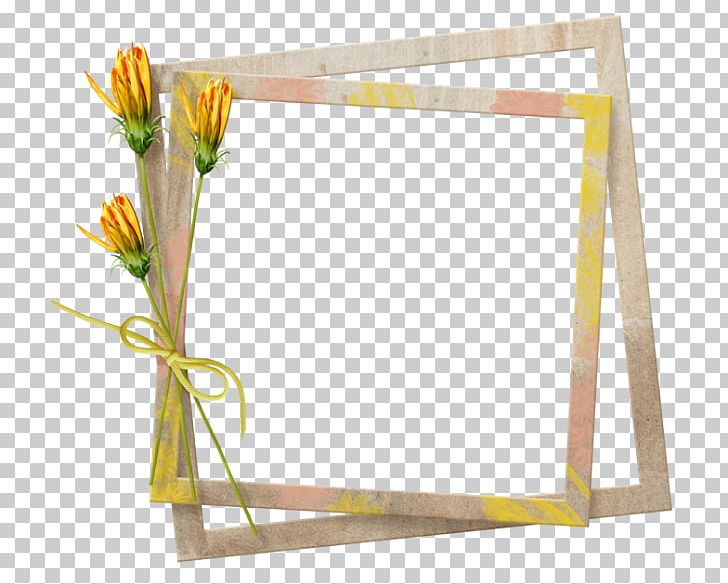 Frames Photography PNG, Clipart, Cerceveler, Flower, Information, Miscellaneous, Others Free PNG Download