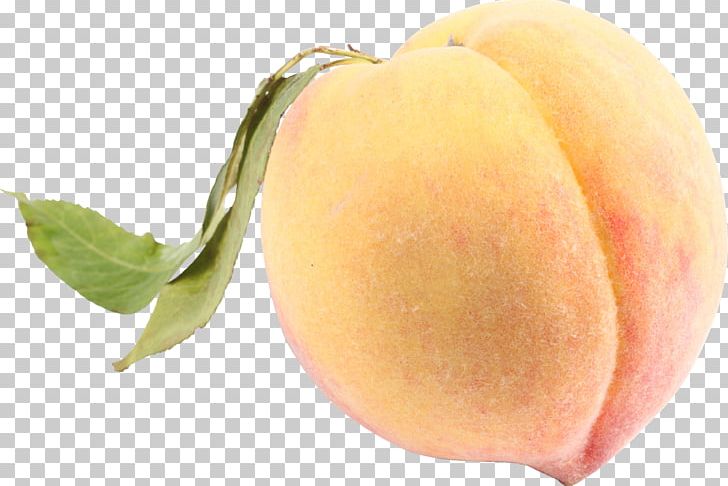 Peach PNG, Clipart, Peach Free PNG Download