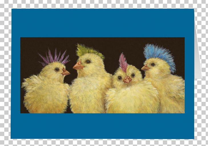 Rooster Chicken Peeps Zazzle PNG, Clipart, Animals, Beak, Bird, Chicken, Fauna Free PNG Download