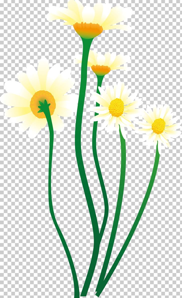 Cut Flowers Plant Stem Flowerpot Line PNG, Clipart, Art, Camomile, Cut Flowers, Daisy, Flora Free PNG Download
