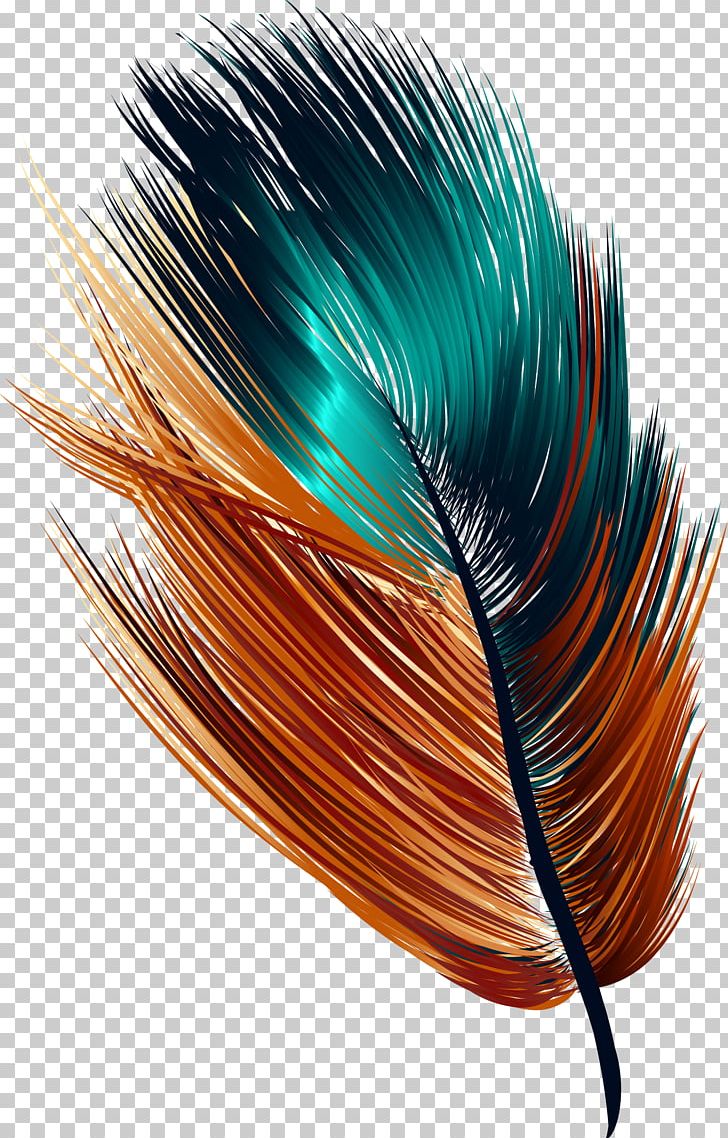Feather Drawing PNG, Clipart, Arc, Art, Color, Colorful, Color Powder Free PNG Download