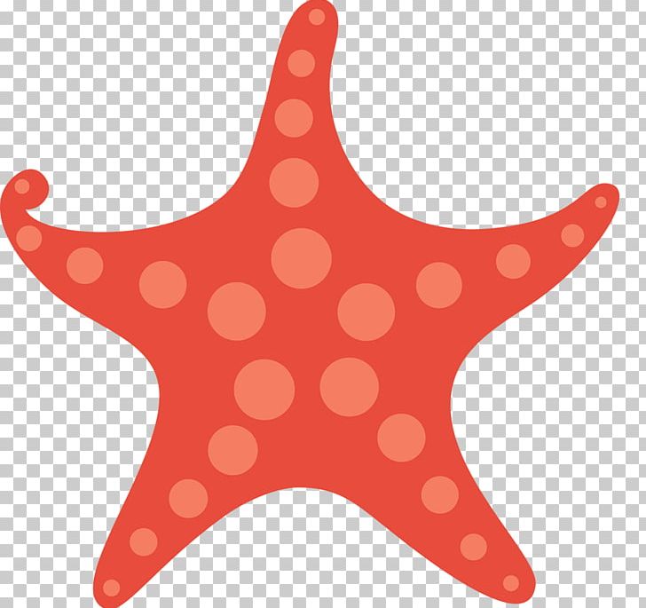 Template Gift Card Rxe9sumxe9 PNG, Clipart, Academic Certificate, Animals, Beautiful Starfish, Cartoon Starfish, Echinoderm Free PNG Download