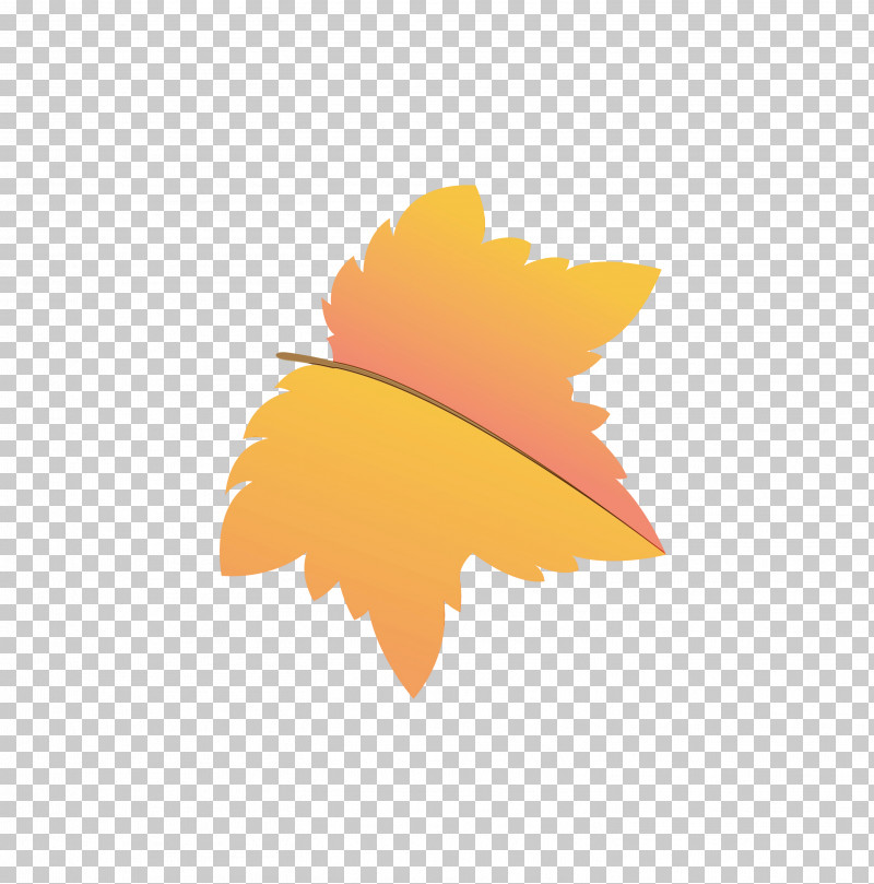 Maple Leaf PNG, Clipart, Autumn Leaf, Biology, Cartoon Leaf, Computer, Fall Leaf Free PNG Download
