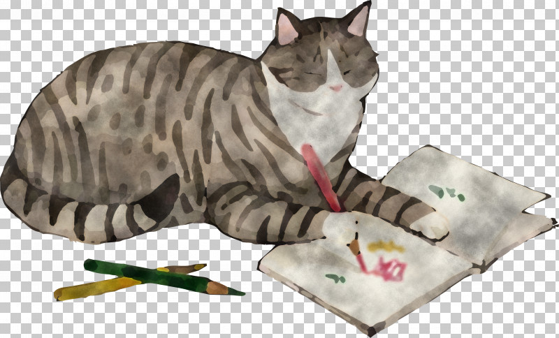 Cat Draw Book PNG, Clipart, Cat, Cat Supply, Cat Toy, Domestic Shorthaired Cat, European Shorthair Free PNG Download