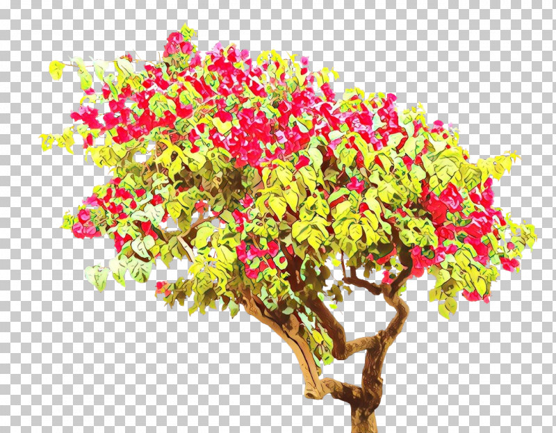 Flower Plant Cut Flowers Tree Pink PNG, Clipart, Blossom, Bougainvillea, Bouquet, Branch, Cut Flowers Free PNG Download