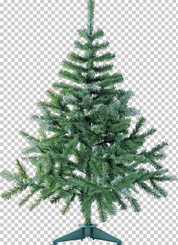 Artificial Christmas Tree PNG, Clipart, Artificial Christmas Tree, Christmas, Christmas Decoration, Christmas Ornament, Christmas Tree Free PNG Download