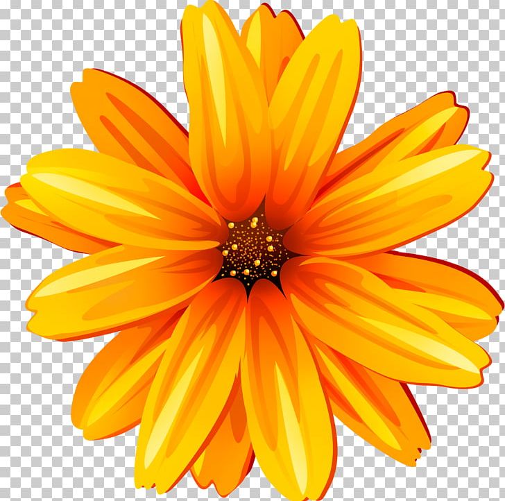 Common Sunflower PNG, Clipart, 123rf, Calendula, Common Sunflower, Cut Flowers, Daisy Family Free PNG Download