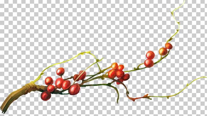 Tree Cherry Branch PNG, Clipart, Branch, Branches, Cartoon, Cherry, Cherry Blossom Free PNG Download