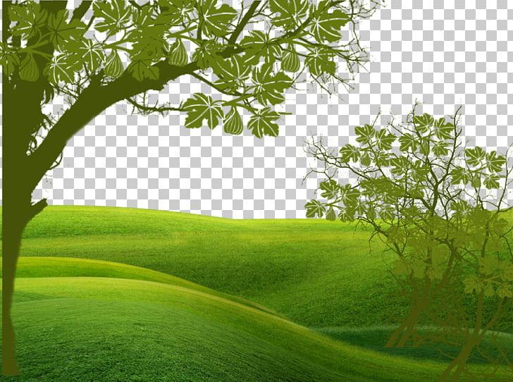 Green Euclidean PNG, Clipart, Adobe Illustrator, Background Green, Computer Wallpaper, Download, Ecology Free PNG Download