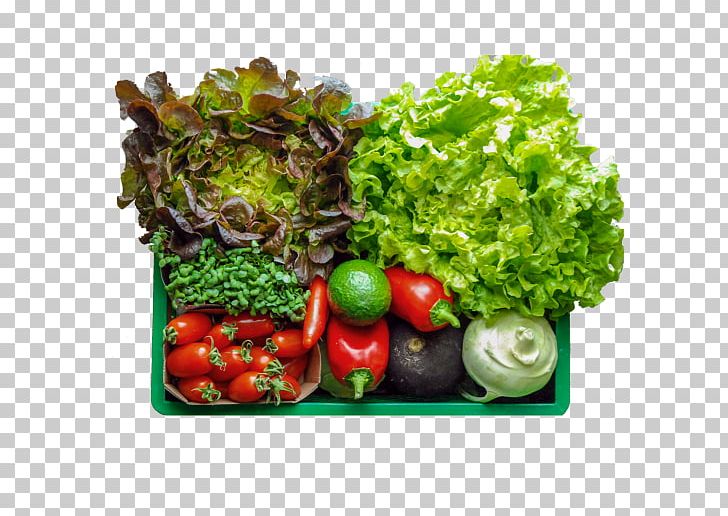Leaf Vegetable Food Vegetarian Cuisine Zucchini PNG, Clipart, Carrot, Diet, Diet Food, Dish, Flowerpot Free PNG Download