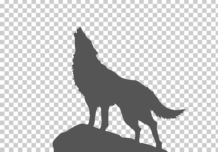 Wolf Stencil Designs Drawing Jack-o'-lantern PNG, Clipart,  Free PNG Download