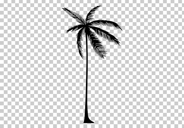 Arecaceae Tree Drawing Silhouette PNG, Clipart, Arecaceae, Arecales, Black And White, Borassus Flabellifer, Branch Free PNG Download