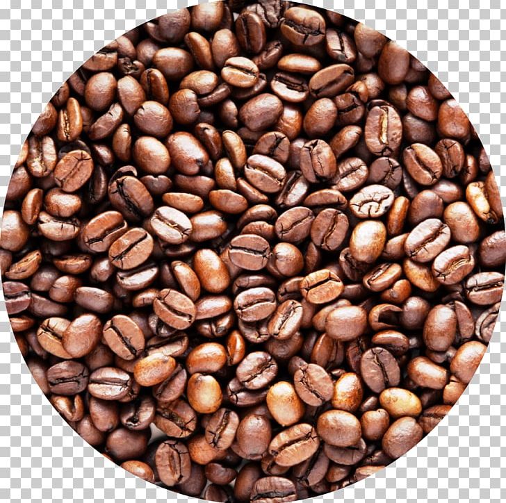 Coffee Bean Cafe Robusta Coffee Arabica Coffee PNG, Clipart, 8 Oz, Bean, Brewed Coffee, Caffeine, Cocoa Bean Free PNG Download