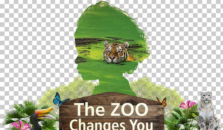 Detroit Zoo Philadelphia Zoo Giraffe University Of Pennsylvania PNG, Clipart, Animals, Charitable Organization, Detroit Zoo, Discounts And Allowances, Fauna Free PNG Download