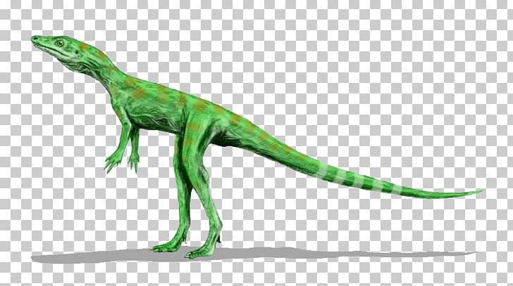 Dromomeron Avipes Diapsid Dinosauromorpha PNG, Clipart, Amniote, Animal Figure, Archosaur, Diapsid, Dinosaur Free PNG Download