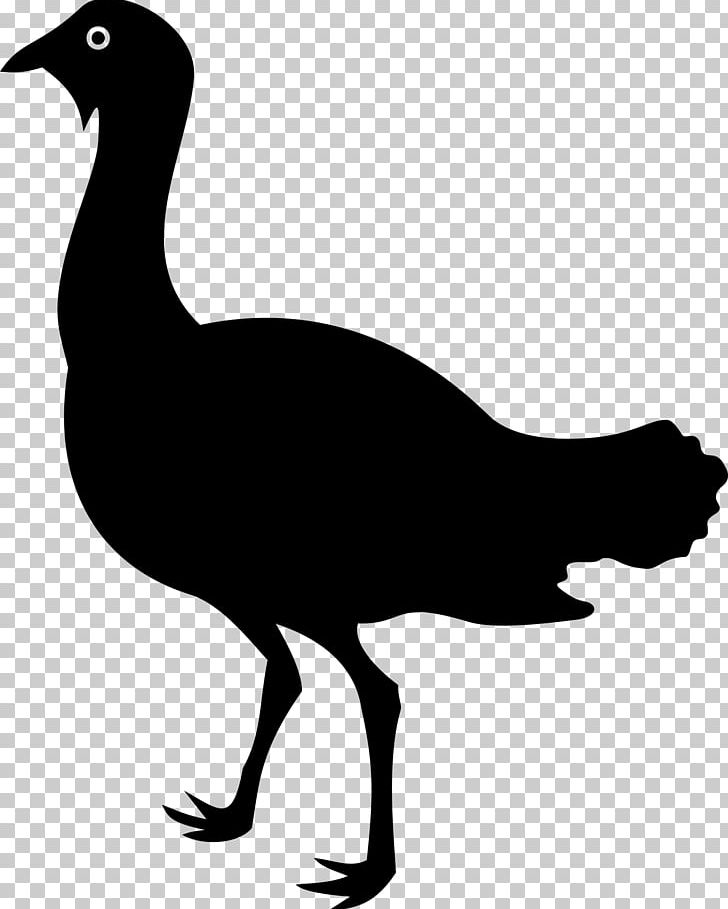 Bird Duck Goose Silhouette Bustard PNG, Clipart, Animals, Art, Artwork, Beak, Bird Free PNG Download