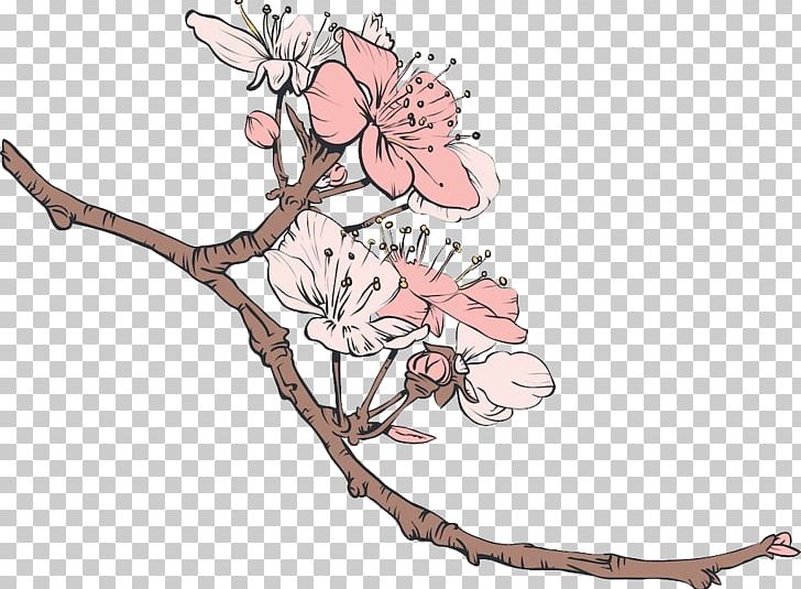 Cherry Blossom Illustration PNG, Clipart, Blossom, Blossoms, Branch, Branches, Cherry Free PNG Download