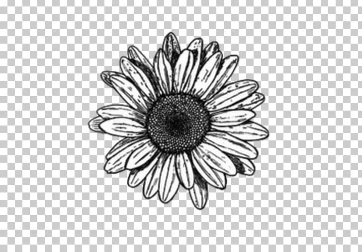 Drawing Video Illustration Graphics PNG, Clipart, Art, Black, Black And White, Chrysanths, Circle Free PNG Download
