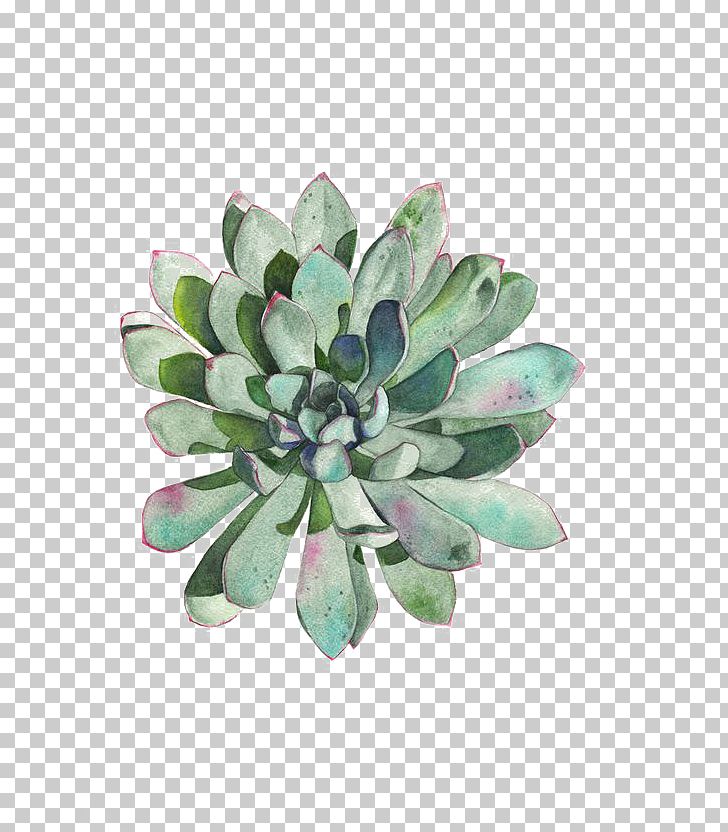 Paper Succulent Plant Watercolor Painting Printmaking Drawing PNG, Clipart, Art, Artist, Botanical Illustration, Charles Rennie Mackintosh, Desert Free PNG Download