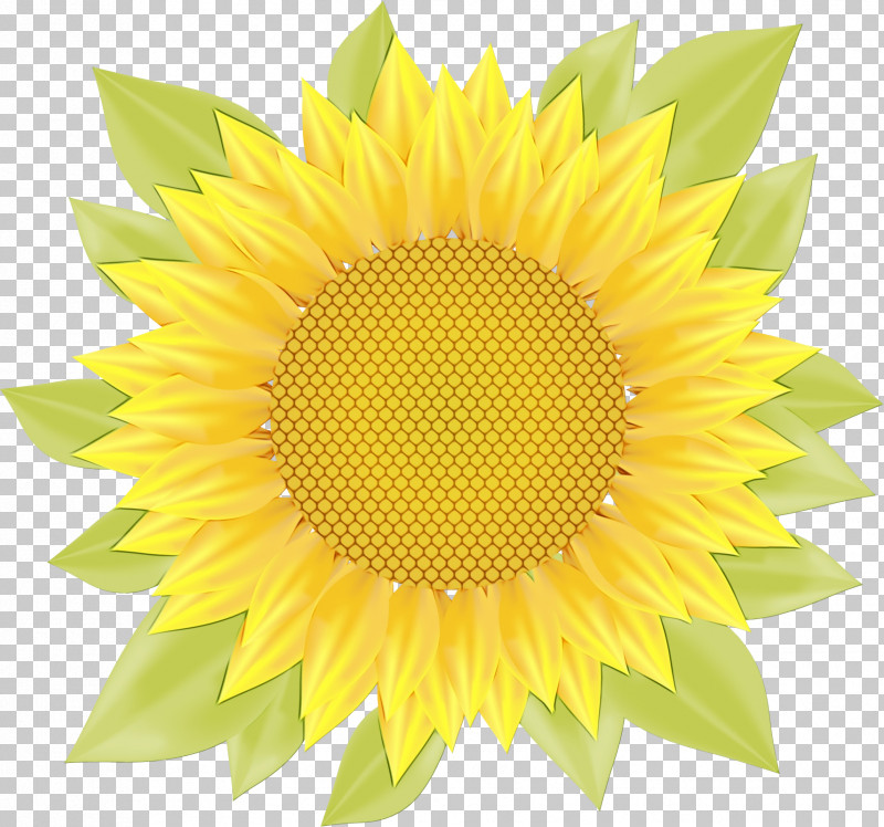 Dandelion Royalty-free Icon PNG, Clipart, Dandelion, Paint, Royaltyfree, Watercolor, Wet Ink Free PNG Download