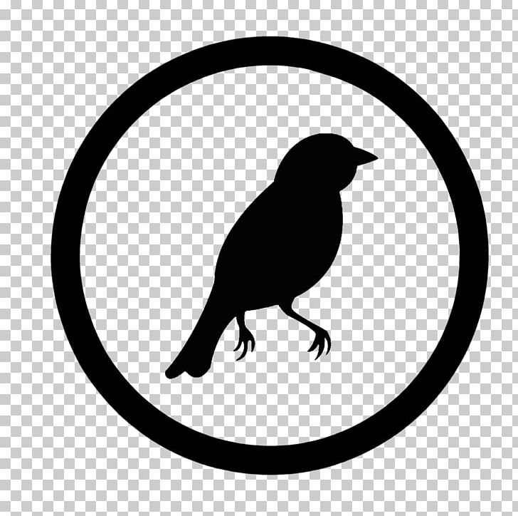 Copyright Symbol PNG, Clipart, Artwork, Beak, Bird, Black, Black And White Free PNG Download