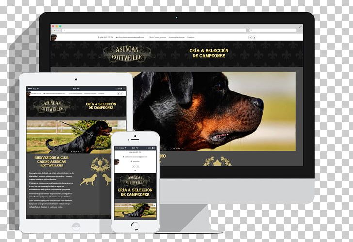 Dog Italian Cuisine Restaurant Front-end Web Development PNG, Clipart, Animals, Brand, Canidae, Cucumber, Dog Free PNG Download