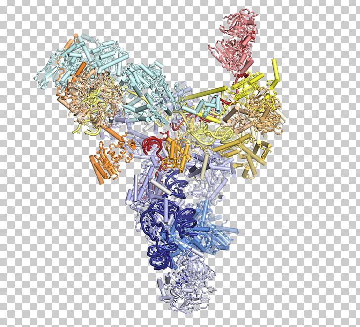 Flower PNG, Clipart, Flower, Nature, Spliceosome Free PNG Download