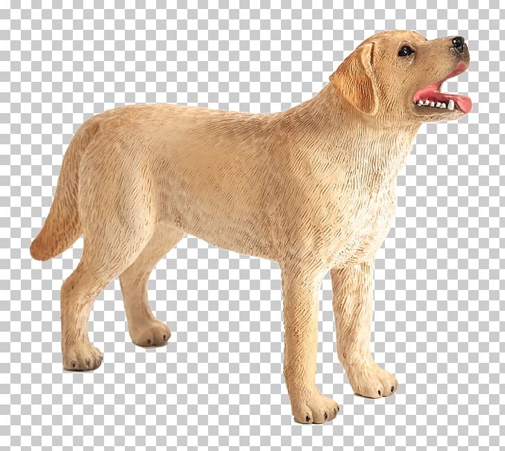 Golden Retriever Labrador Retriever Dog Breed Companion Dog Jack Russell Terrier PNG, Clipart, Ancient Dog Breeds, Animal, Animals, Carnivoran, Companion Dog Free PNG Download