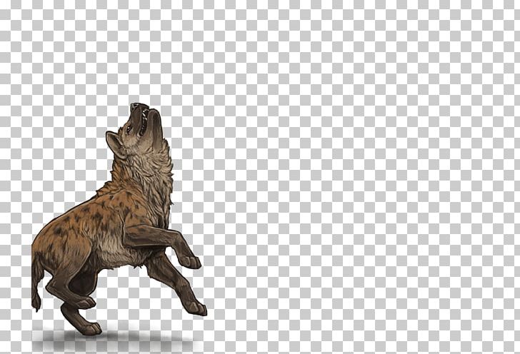 Lion Spotted Hyena Cat Carnivora PNG, Clipart, Animal, Animals, Canidae, Carnivora, Carnivoran Free PNG Download