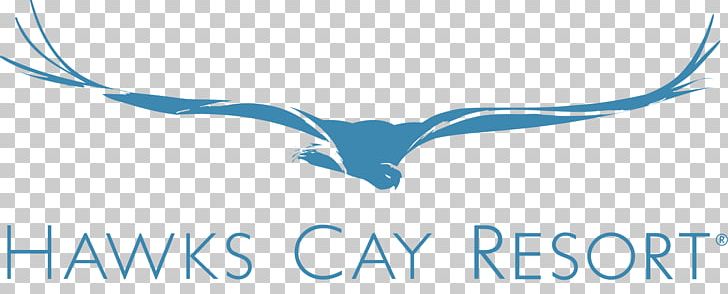 Marathon Florida Keys Key West Hawks Cay Resort Key Largo PNG, Clipart, Beak, Blue, Brand, Cay, Computer Wallpaper Free PNG Download