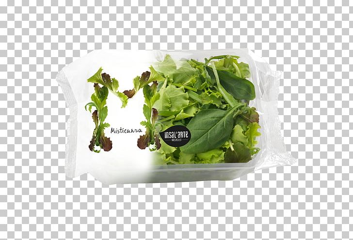 Romaine Lettuce Caesar Salad Misticanza PNG, Clipart, Arugula, Caesar Salad, Dieline, Endive, Flowerpot Free PNG Download