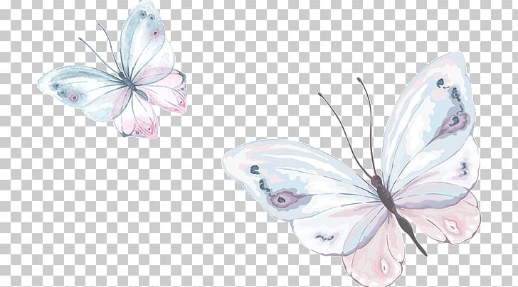 Watercolor Painting Butterfly PNG, Clipart, Color, Download, Insect, Insects, Invertebrate Free PNG Download
