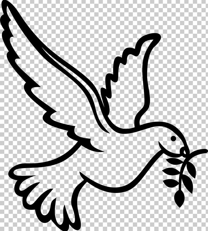 Columbidae Doves As Symbols PNG, Clipart, Bird, Black, Doves As Symbols, Fictional Character, Flower Free PNG Download