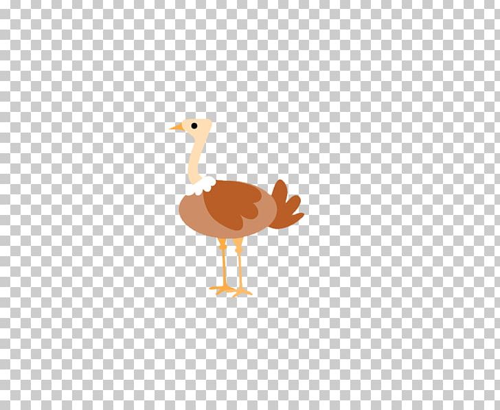 Common Ostrich Bird Goose PNG, Clipart, Animals, Beak, Cartoon, Chicken, Cuteness Free PNG Download