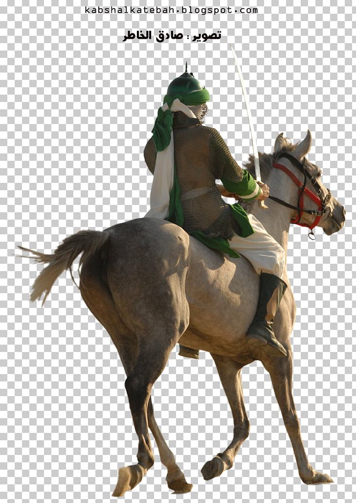 Battle Of Karbala Shia Islam God Equestrian Imam PNG, Clipart, Abbas Ibn Ali, Ar Rahiim, Assalamu Alaykum, Basmala, Battle Of Karbala Free PNG Download