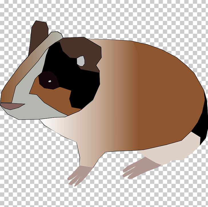 Guinea Pig Rodent PNG, Clipart, Carnivoran, Cartoon Guinea Pig Pictures, Dog Like Mammal, Download, Drawing Free PNG Download