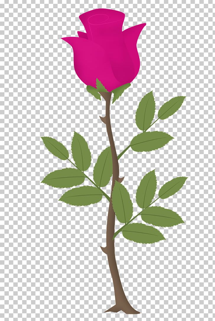 Pink Rose Flower PNG, Clipart, Branch, Cut Flowers, Drawing, Flora, Floral Design Free PNG Download