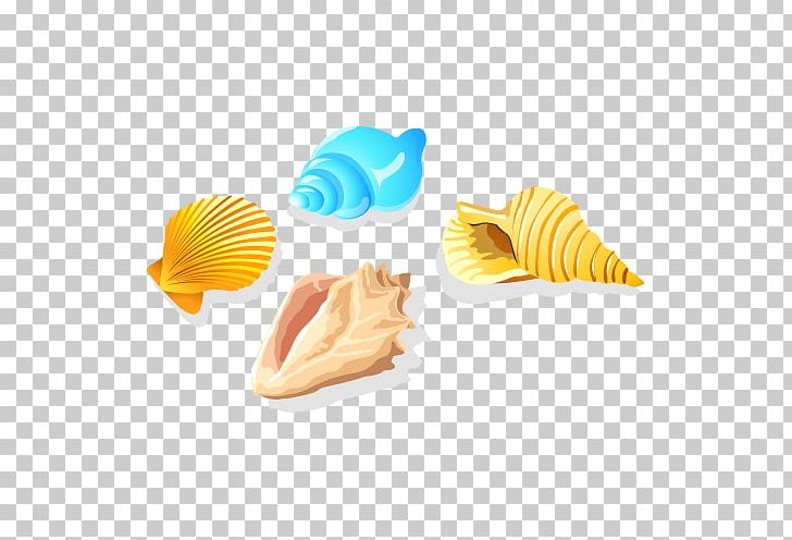Seashell Conch Sea Snail PNG, Clipart, Cartoon Conch, Conch, Conch Blowing, Conchs, Conch Shell Free PNG Download